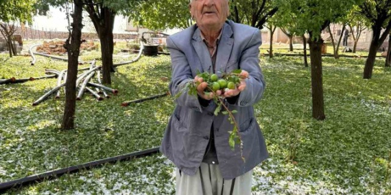 mazıdağı