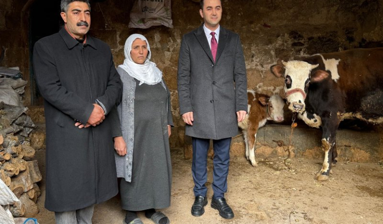 Mardin’de Geçim Kaynağı Telef Olan Anneye Umut Eli