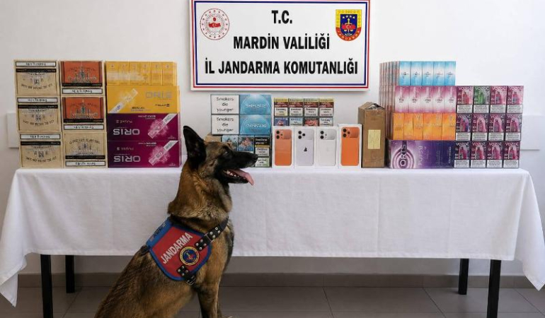 Mardin’de 2 Milyonluk kaçakçılık operasyonu: 2 gözaltı